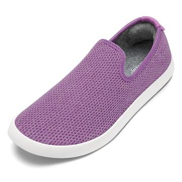 Slip On Allbirds Tree Loungers Lux γυναικεια μωβ | GR4511QZ