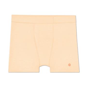 εσωρουχα Allbirds Trino® Boxer Brief ανδρικα καφε | GR4272TV