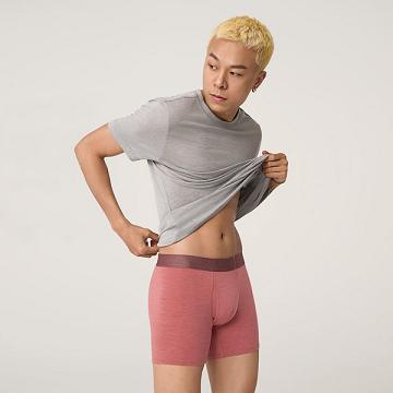 εσωρουχα Allbirds Trino® Boxer Brief ανδρικα κοκκινα | GR4273RW