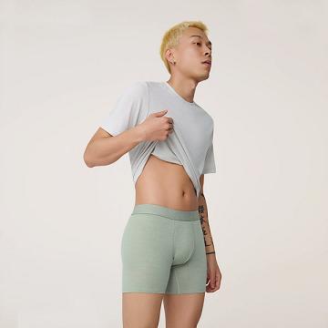 εσωρουχα Allbirds Trino® Boxer Brief ανδρικα πρασινο | GR4274EX